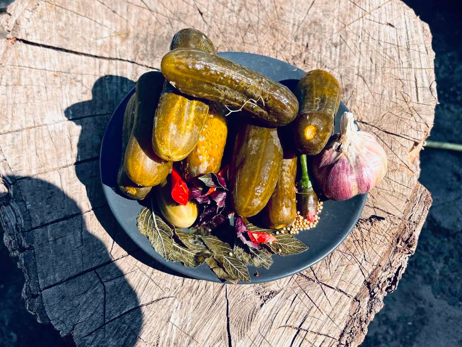 Огірок бочковий